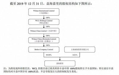 金龍魚品相(金龍魚品相區分圖片)