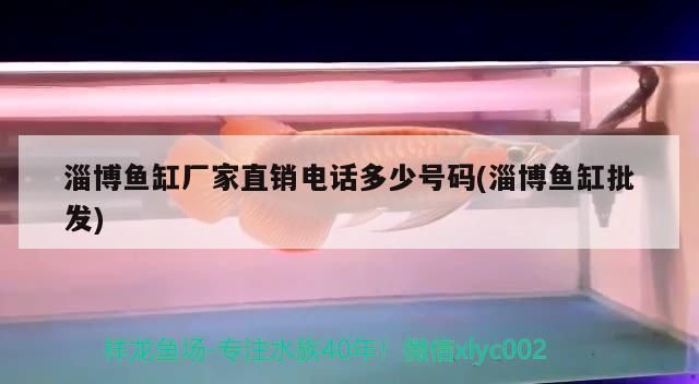 淄博魚缸廠家直銷電話多少號碼(淄博魚缸批發)
