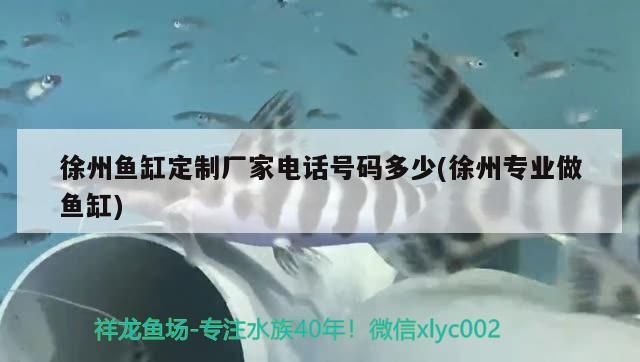 徐州魚缸定制廠家電話號碼多少(徐州專業做魚缸)（徐州魚缸定制廠家電話號碼多少）