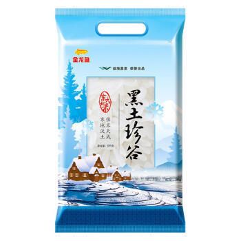 翹頭龍魚好還是平頭的好養(翹頭龍魚好還是平頭的好養些)（翹頭龍魚好還是平頭的好養）