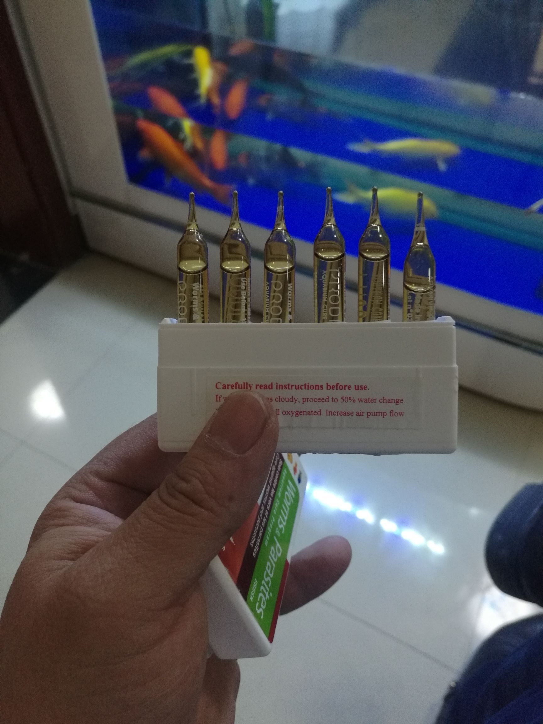 科迪治療中 科迪治療中 觀賞魚百科 第2張