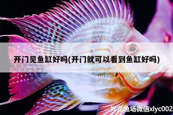 開門見魚缸好嗎(開門就可以看到魚缸好嗎) 開門見魚缸好嗎(開門就可以看到魚缸好嗎) 觀賞魚百科