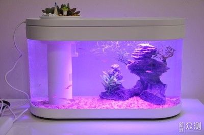 魚缸用增氧泵價格是多少:魚缸增氧機-xtrac增氧機-xtrac增氧機 雷龍魚哪個品種好繁殖(雷龍魚哪個品種好繁殖快)(雷龍魚中哪個品種適合繁殖) 觀賞魚百科 雷龍魚哪個品種好繁殖(雷龍魚哪個品種好繁殖快)(雷龍魚中哪個品種適合繁殖) 雷龍魚哪個品種好繁殖(雷龍魚哪個品種好繁殖快)(雷龍魚中哪個品種適合繁殖) 觀賞魚百科