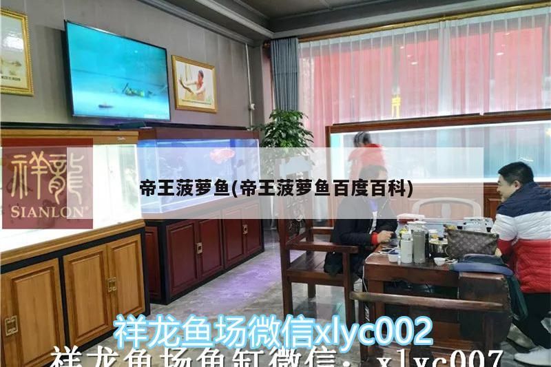 帝王菠蘿魚(帝王菠蘿魚百度百科)（菠蘿魚的養殖方法）