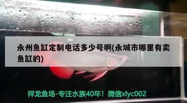 永州魚缸定制電話多少號啊(永城市哪里有賣魚缸的)（永州魚缸定制電話多少號）