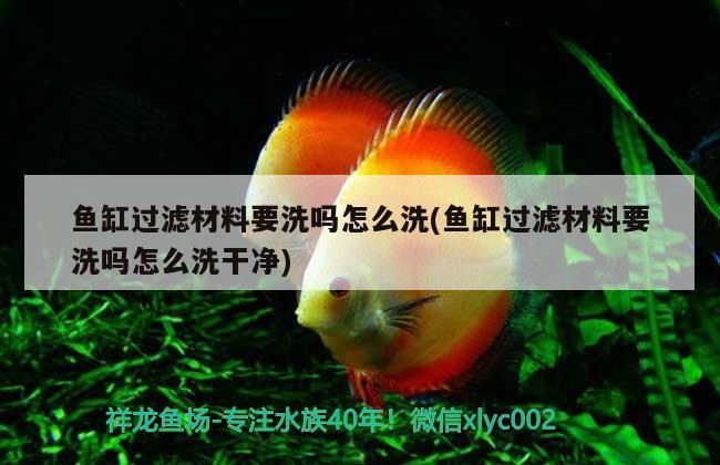 紅龍魚的四大品牌是哪四個牌子圖片（紅龍魚的品牌有哪些）（紅龍魚的四大品牌）