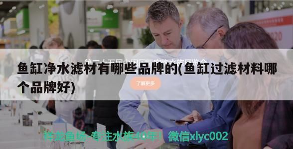 魚缸凈水濾材有哪些品牌的(魚缸過濾材料哪個品牌好)（魚缸凈水濾材哪個品牌好魚缸凈水濾材有哪些品牌好）
