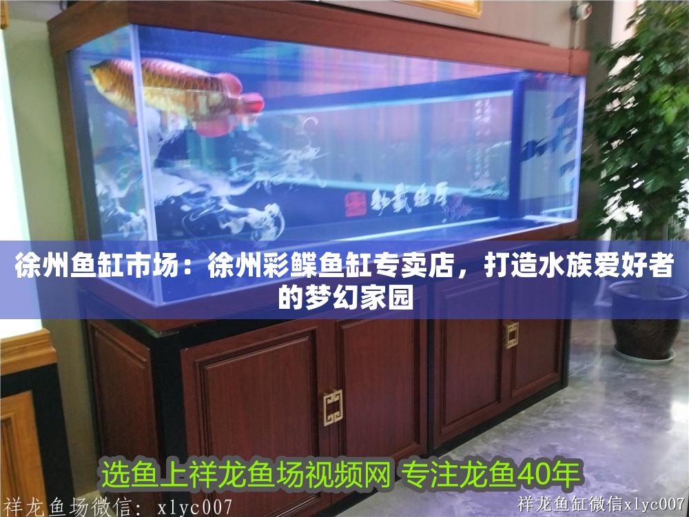 <strong><mark>徐州</mark></strong>魚缸市場：<strong><mark>徐州</mark></strong>彩鰈魚缸專賣店，打造水族愛好者的夢幻家園（彩鰈魚缸專賣店）