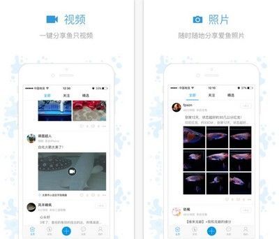 觀賞魚論壇app（觀賞魚論壇app有哪些）