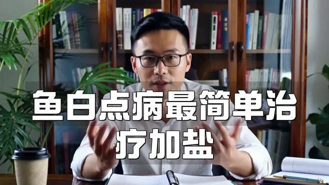 金龍魚發白可以放鹽嗎？（龍魚發白是怎么回事）