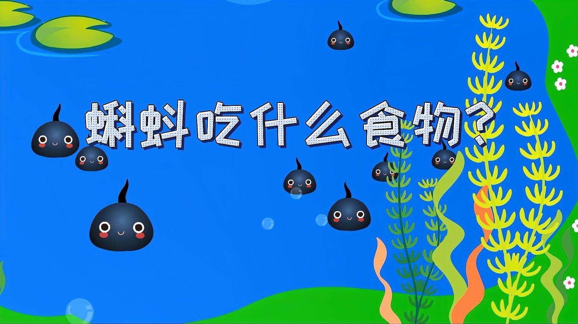 金龍魚吃小蝌蚪需要煮熟嗎？（開封市社科聯(lián)“揭秘金龍魚快速成長秘訣:科學(xué)喂食與慢養(yǎng)原則）