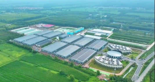 濟寧龍魚魚場口碑如何