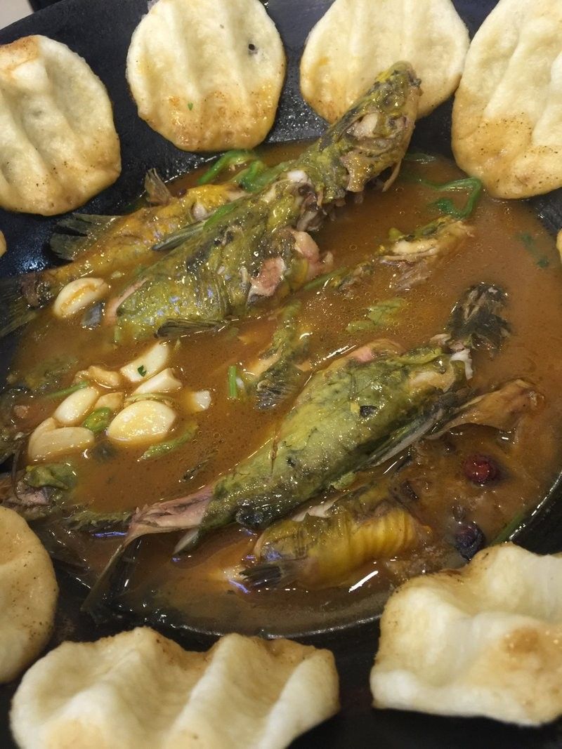 濟寧龍魚魚場口碑如何