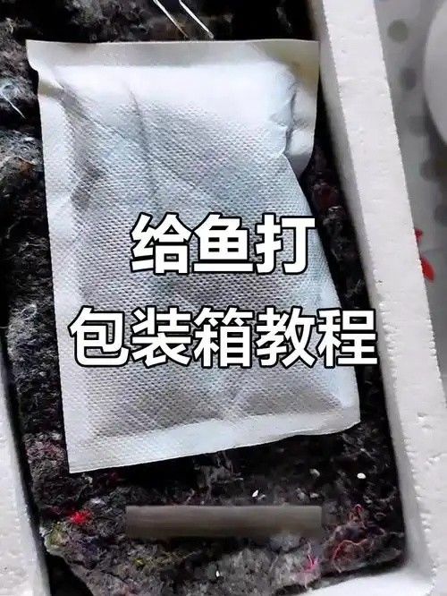 龍魚打包發貨有哪些常見問題？（魚打包發貨的最佳季節是什么時候龍魚打包發貨的最佳季節是什么時候）