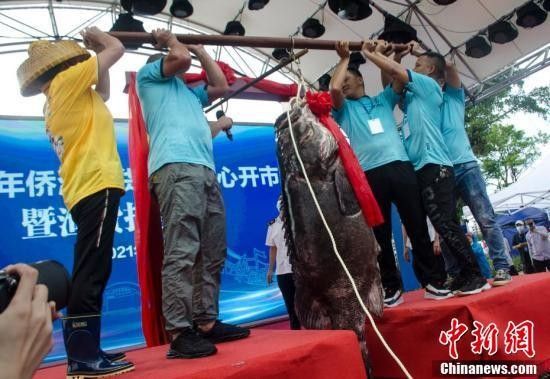 給我一份金龍魚旗下品牌的分類清單，金龍魚品牌矩陣圖中哪個品牌最重要？