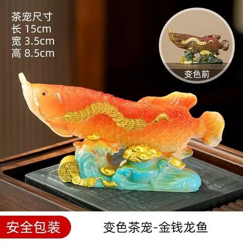 給我一些金龍魚變色的圖片（關(guān)于金龍魚變色的圖片資源及相關(guān)信息：01:18金龍發(fā)色秘籍）