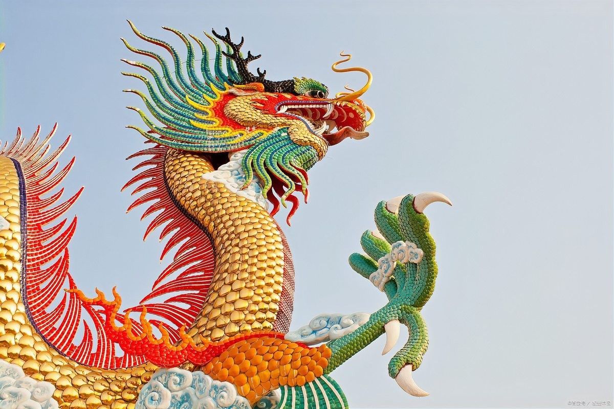 龍形地有哪些文化意義 龍形地有哪些文化意義 龍魚百科 第6張