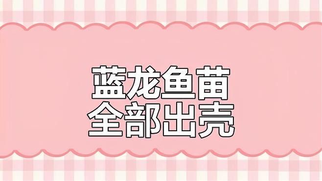 魚被細菌感染后的死亡時間取決于多種因素，如何判斷魚被細菌感染后如何治療
