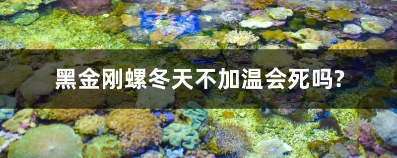 三條龍家庭有哪些具體案例（“三條龍”家庭有哪些成功要素，三條龍家庭有哪些成功要素）