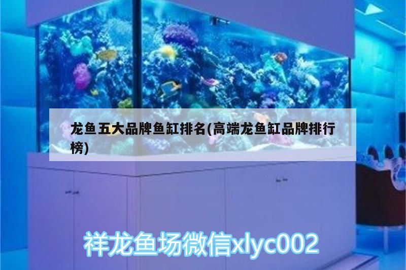 龍魚五大品牌魚缸排名(高端龍魚缸品牌排行榜)