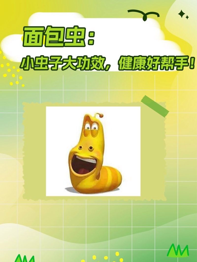 面包蟲投喂時需要去殼嗎？（面包蟲去殼后如何保存？） 面包蟲投喂時需要去殼嗎？（面包蟲去殼后如何保存？） 龍魚百科 第5張