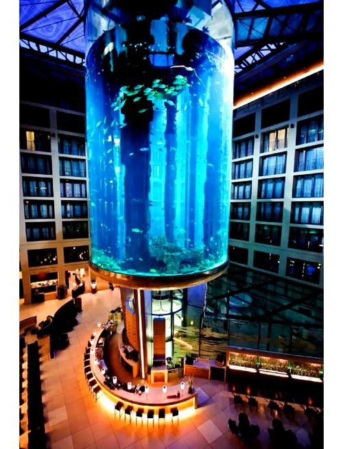 萬柏林哪個(gè)水族館龍魚好？祥龍魚場(chǎng)龍魚（萬柏林區(qū)祥龍魚場(chǎng)）