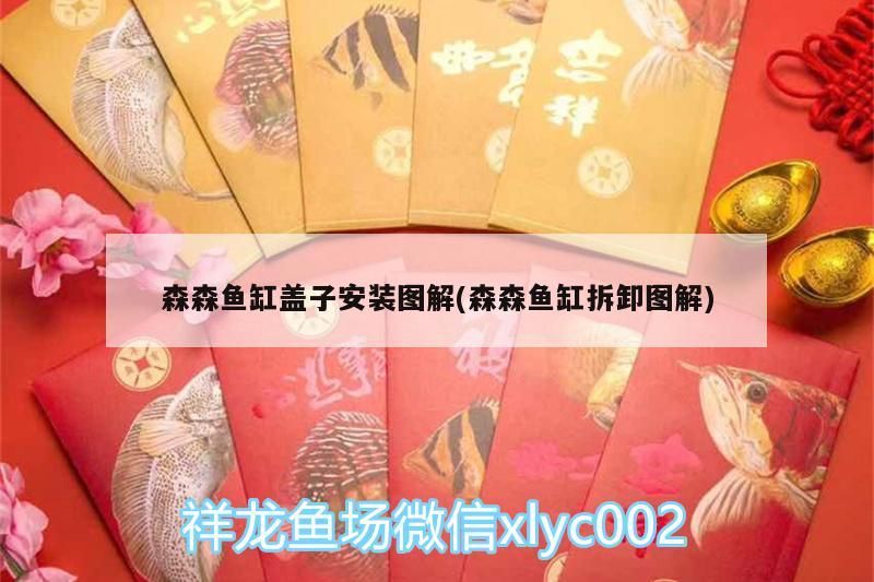 森森魚缸蓋子安裝圖解(森森魚缸拆卸圖解)（森森魚缸拆卸圖解）