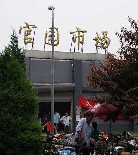 哪里可以買到最貴的金龍魚（北京大型賣觀賞魚市場哪家店的金龍魚最貴如何挑選）