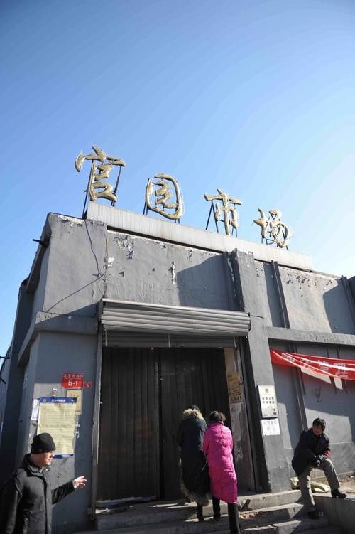 哪里可以買到最貴的金龍魚（北京大型賣觀賞魚市場哪家店的金龍魚最貴如何挑選）