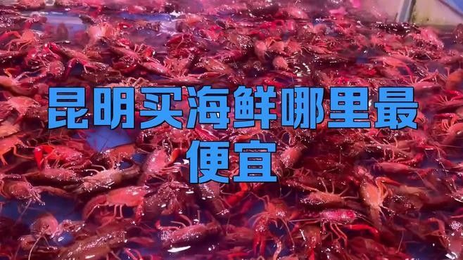 昆明明都海鮮有龍魚嗎（云南華潮水產(chǎn)批發(fā)市場明都海鮮市場是否在該市場有售）