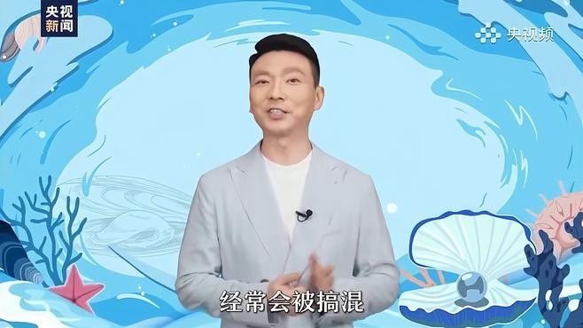 昆明明都海鮮有龍魚嗎（云南華潮水產(chǎn)批發(fā)市場明都海鮮市場是否在該市場有售）