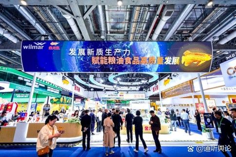 石家莊哪里可以買到金龍魚