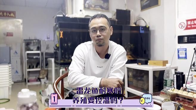 雷龍魚在低溫下會死亡嗎？（關于雷龍魚在低溫下的生存能力）