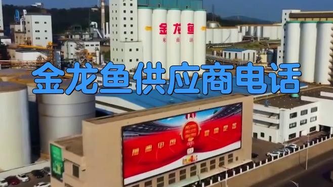 如何聯系龍魚批發商？