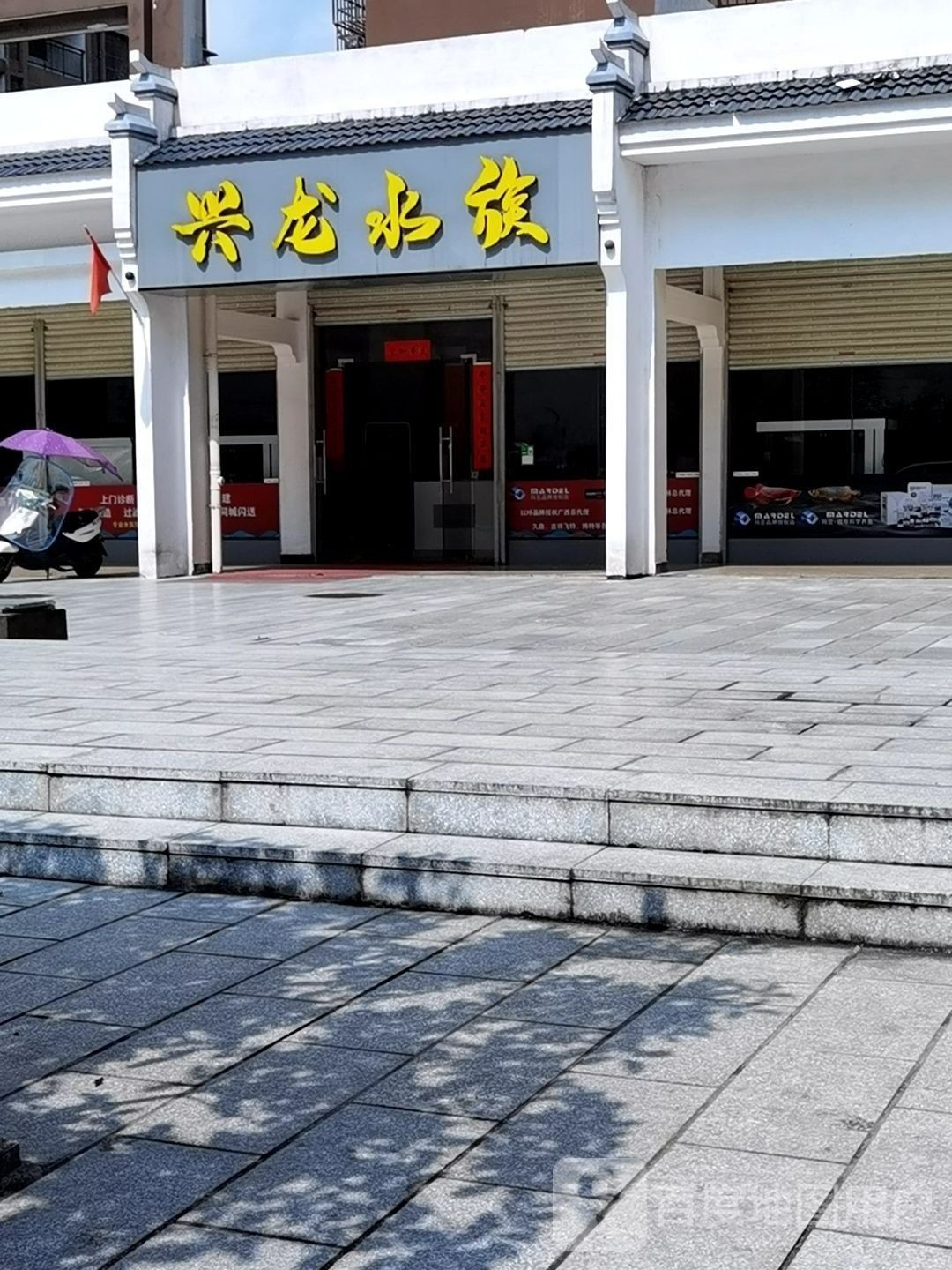 桂林哪個水族館龍魚好？祥龍魚場龍魚（廣州祥龍魚場）