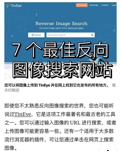 反向圖像搜索工具推薦（10大頂級反向圖片搜索工具推薦crystal）