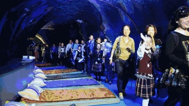 南海龍魚(yú)部落商貿(mào)中心的營(yíng)業(yè)時(shí)間是？（南海龍魚(yú)部落商貿(mào)中心怎么樣？）