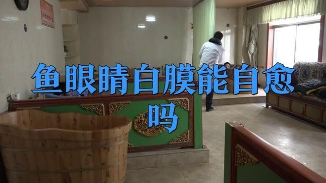 金龍魚蒙眼病能自愈嗎（金龍魚蒙眼病能自愈嗎民福康魚蒙眼急救指南）