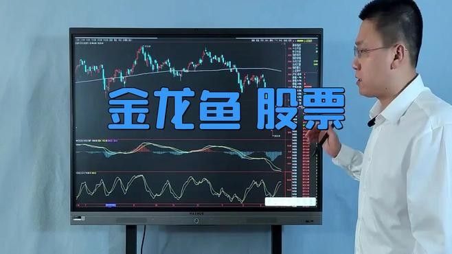 藍鉆金龍魚的價格是多少（藍鉆金龍魚價格表）