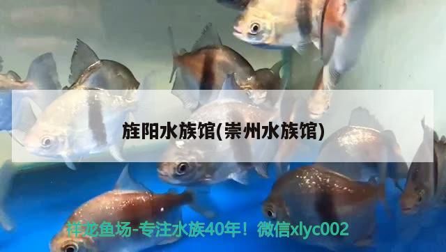 旌陽水族館(崇州水族館)