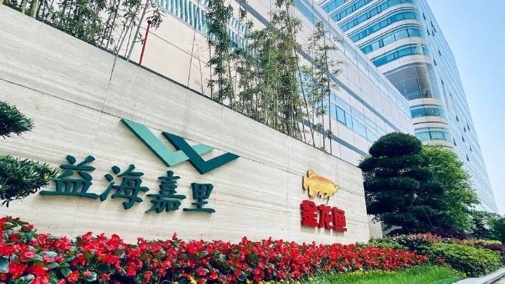 金龍魚美國團隊有多少人（金龍魚美國團隊有多大？）