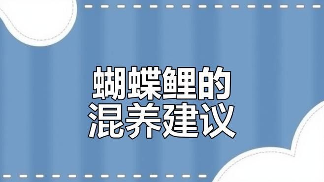 有哪些適合與蝴蝶鯉混養的魚？（與蝴蝶鯉混養的魚類有哪些？）