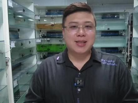 給我一些印尼紅龍魚發色的對比圖（印尼紅龍魚發色對比圖）