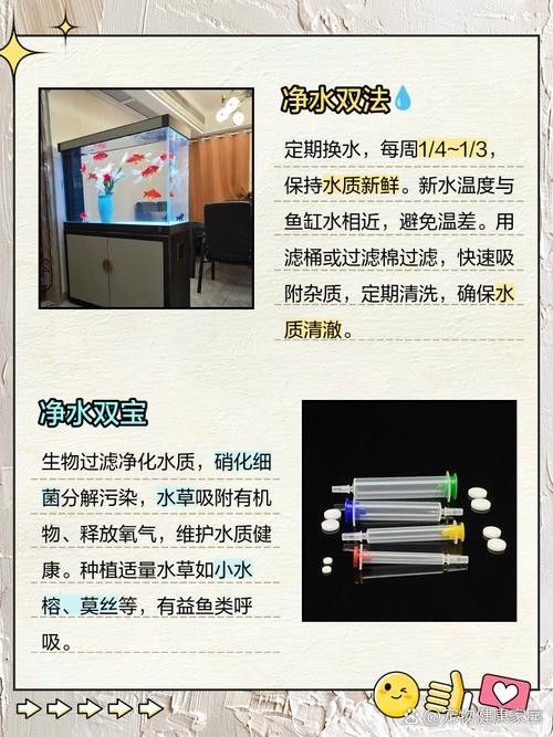如何保持龍魚缸水質(zhì)的穩(wěn)定（保持龍魚缸水質(zhì)穩(wěn)定的方法）