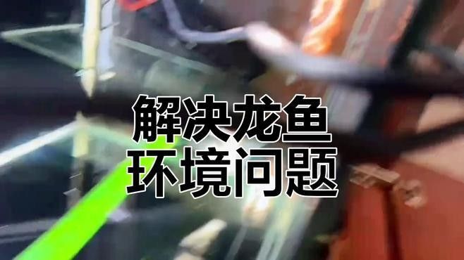 如何保持龍魚缸水質(zhì)的穩(wěn)定（保持龍魚缸水質(zhì)穩(wěn)定的方法）