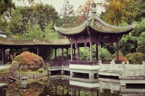 七彩神仙魚混養龍魚（七彩神仙魚和龍魚混養后可能會出現哪些健康問題） 七彩神仙魚混養龍魚（七彩神仙魚和龍魚混養后可能會出現哪些健康問題） 觀賞魚百科