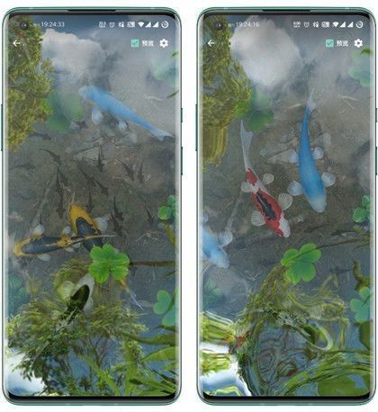 哪個(gè)平臺(tái)提供高清金龍魚(yú)壁紙下載