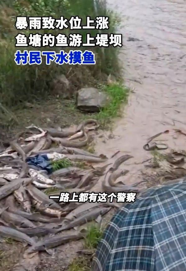 成都霸道海鮮鮮活生猛鱘龍魚鱘（成都地區(qū)鱘龍魚的價格）