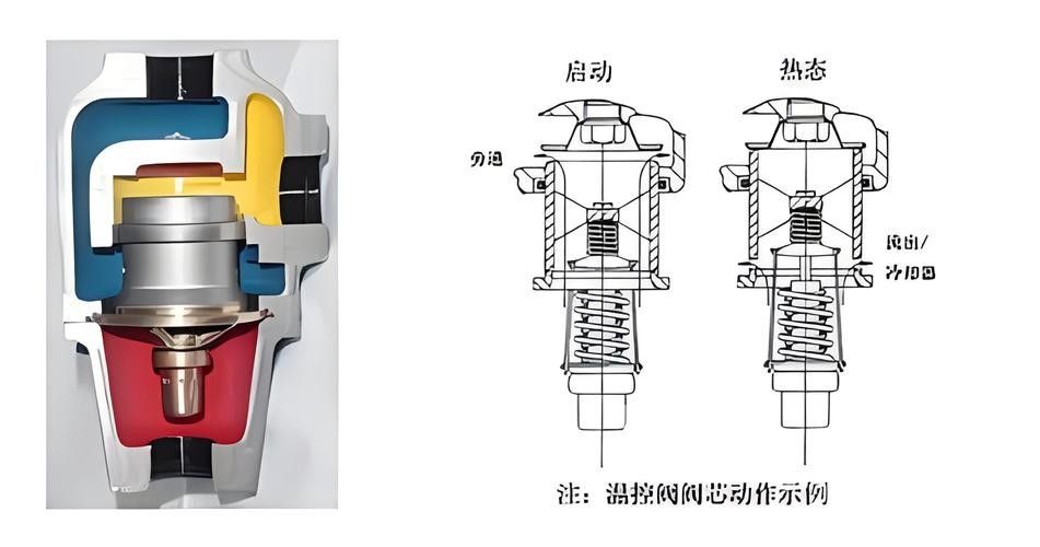 如何保持龍魚缸的水溫穩定（保持龍魚缸水溫穩定的方法） 如何保持龍魚缸的水溫穩定（保持龍魚缸水溫穩定的方法） 龍魚百科 第4張
