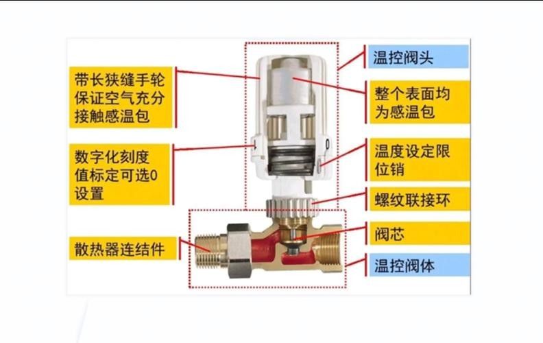 如何保持龍魚缸的水溫穩定（保持龍魚缸水溫穩定的方法） 如何保持龍魚缸的水溫穩定（保持龍魚缸水溫穩定的方法） 龍魚百科 第5張